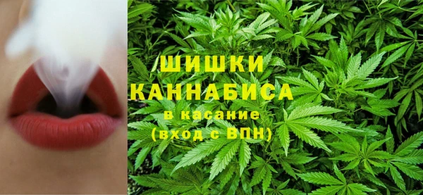 бошки Аркадак