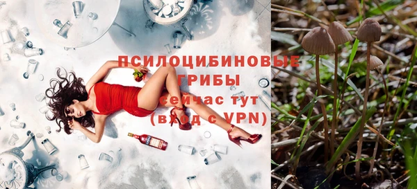 бошки Аркадак