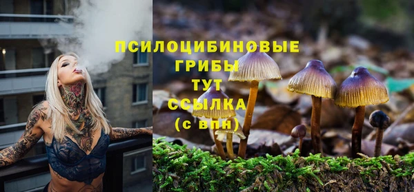 бошки Аркадак