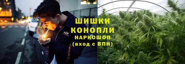 бошки Аркадак
