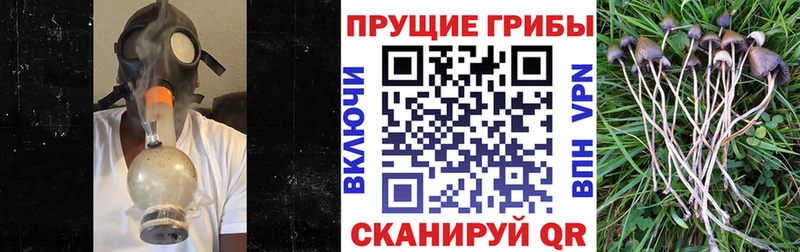 наркота  Сурск  Псилоцибиновые грибы прущие грибы 