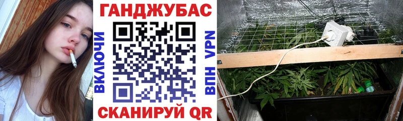 мега маркетплейс  Сурск  Конопля сатива 